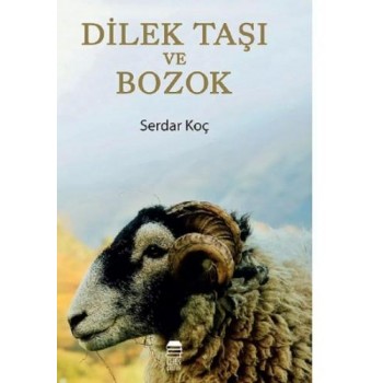 Dilek Taşı ve Bozok