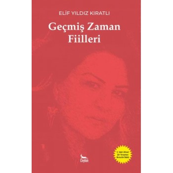 Geçmiş Zaman Fiilleri